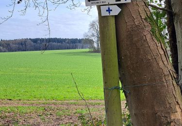 Excursión Senderismo Durbuy - Bois de Viné BORLON - Photo