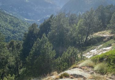 Percorso sport Saint-Lary-Soulan - Oredon Aubert 2024 07 30 - Photo
