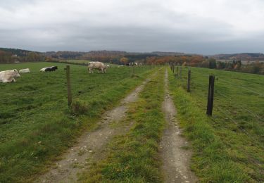 Trail Walking Marche-en-Famenne - RB-Lu-31_Marche-en-Famenne - Photo