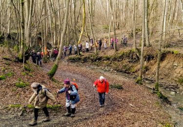 Tour Wandern Verdilly - Verdilly ADR du 18-01-2022 - Photo