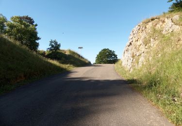 Randonnée Marche Léoncel - Pierre Chauve - Col de Tourniol - Photo