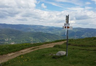 Tour Wandern Sondernach - mp sondernach 2019 - Photo