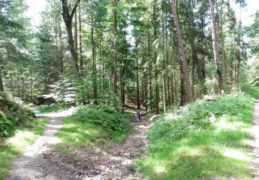 Tour Zu Fuß Rosengarten - Wanderweg KA-KI - Photo