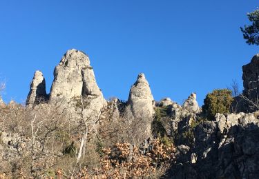 Trail Walking Saint-Félix-de-l'Héras - Les Fabres - Mas Rouquet - Photo