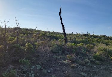 Randonnée Marche La Motte - Les Bélugues par la Rimade - Photo