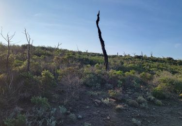 Excursión Senderismo La Motte - Les Bélugues par la Rimade - Photo