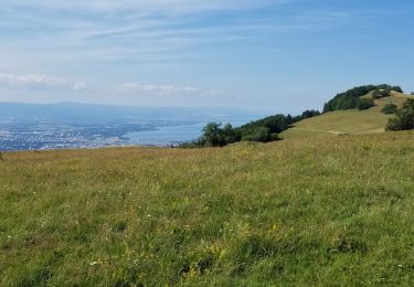 Trail Mountain bike Saint-Blaise - Tour du saleve depuis saint blaise - Photo