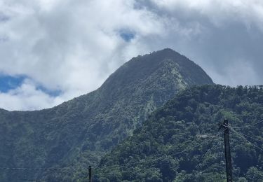 Randonnée Marche Le Morne-Vert - quartier Monjoly (Morne-Vert) - Photo