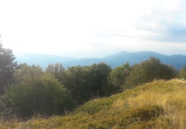 Randonnée Trail Ventron - Col d'Oderen - Oderen via table orientation Drumont - Photo