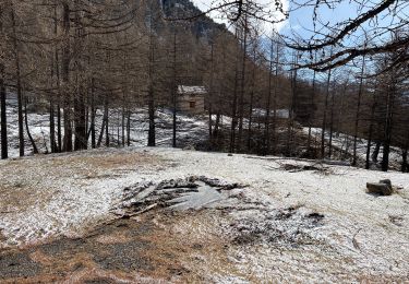 Tocht Sneeuwschoenen Saint-Dalmas-le-Selvage - Pointe de Colombart - Photo