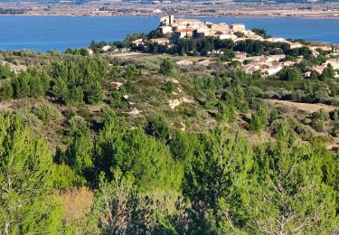 Tocht Stappen Bages - bages source pesquis - Photo