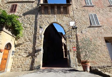 Trail On foot Paciano - Paciano - Monte Pausillo - Photo