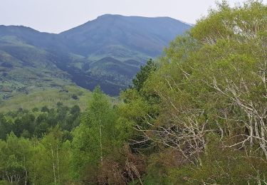 Percorso Marcia Sant'Alfio - SICILE ETNA Cratères 