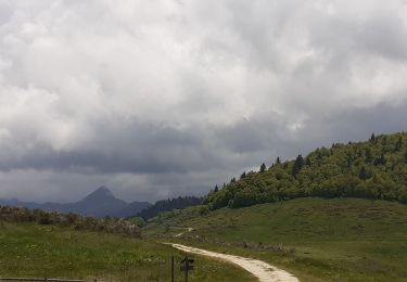 Percorso Marcia Prades - Comus Refuge de La Chioula GR 107 chemin des Bonshommes - Photo