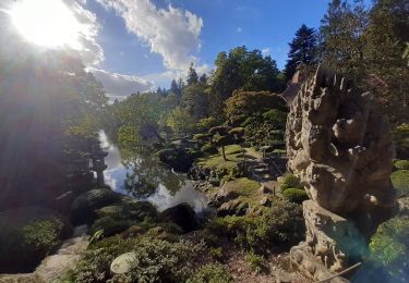 Excursión Senderismo Maulévrier - Maulevrier jardin oriental - Photo