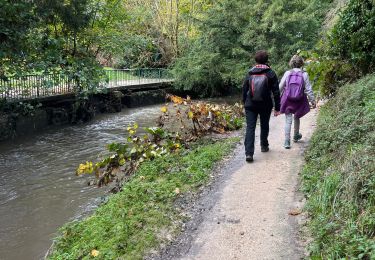 Randonnée Marche Villebon-sur-Yvette - Au départ de Villebon SG - Photo