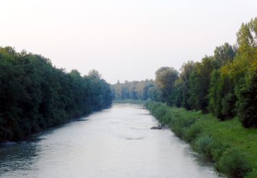 Trail On foot Rimsting - Chiemsee Rundweg - Photo