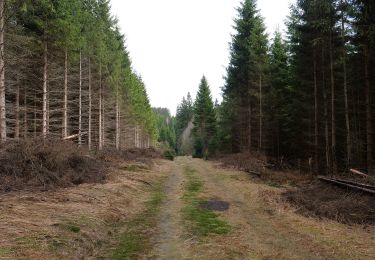 Tour Zu Fuß Harz (LK Goslar) - Naturmythenpfad - Photo