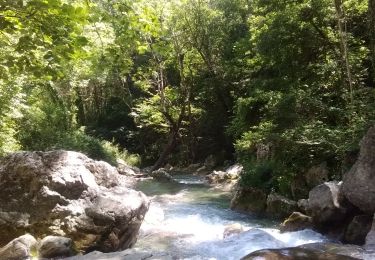 Tour Wandern Omblèze - Chute de la Druise - Photo