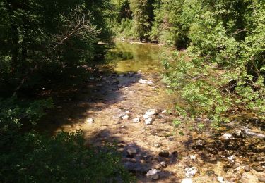 Randonnée Marche Saint-Claude - cascade de la vouivre  - Photo