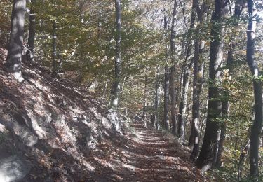 Trail Walking Aywaille - aywaille.  raborive . chateau ambleve . chateau florzé . sur la heid . aywaille  - Photo