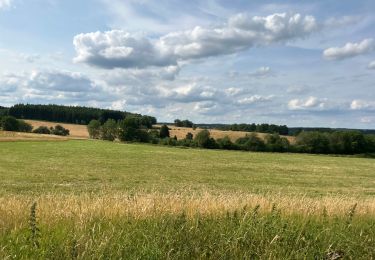 Tocht Paardrijden Habay - Forêt de Rulles - Photo