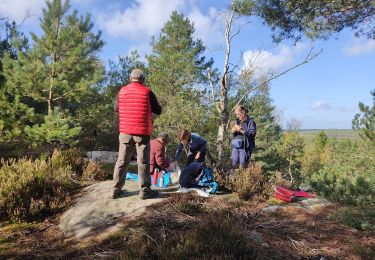 Trail Walking Milly-la-Forêt - Les rochers aux voleurs - Photo