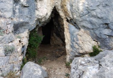 Tour Wandern Le Revest-les-Eaux - Grottes de la Ripelle Mt Combe - Photo