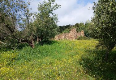 Trail Walking Roquebrune-sur-Argens - Les Issambres , ruines de Roqueyrol - Photo