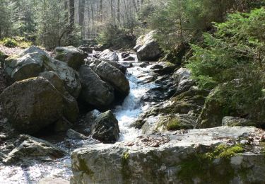 Trail Walking Aywaille - Les Vallées du Ninglinspo - Photo