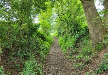 Tocht Stappen Walcourt - Walcourt 230523 - Photo