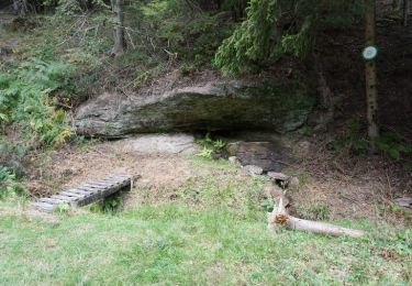 Tocht Stappen Dabo - Haselbourg et les maisons troglodytiques - Photo