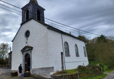 Tocht Stappen Houffalize - Engreux 050523 - Photo