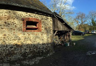 Excursión A pie Madré - Boucle de l'Hirondelle - Photo