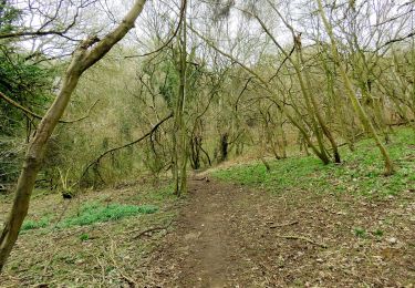 Randonnée A pied South Oxfordshire - Boundary Patrol - Photo