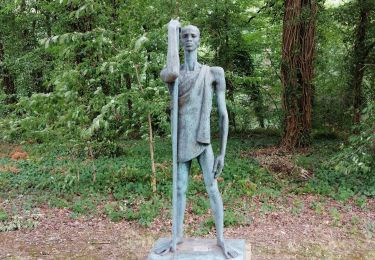 Percorso Marcia Liegi - Bois du Sart - Photo