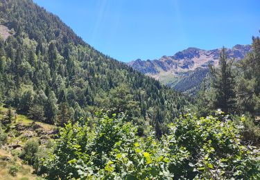 Trail Walking Alins - etp29. Gr11  - Photo