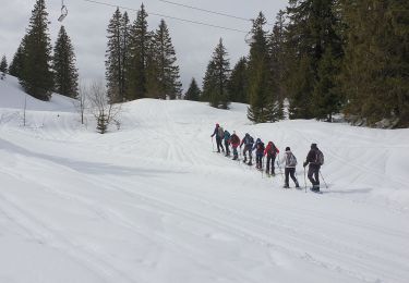 Percorso Racchette da neve Divonne-les-Bains - La Dole alt 1676m en raquette - Photo