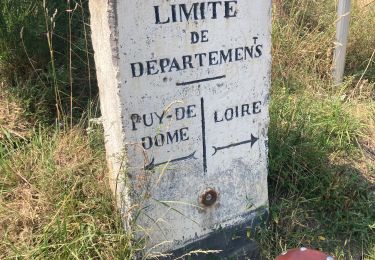 Tocht Wegfiets Saint-Anthème - Ça pique  - Photo