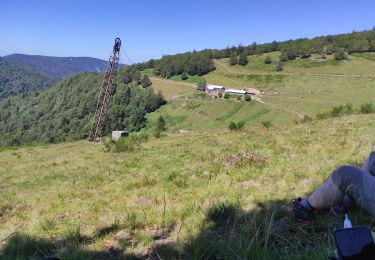 Trail Walking Kruth - Felsach. loupé - Photo