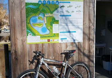 Trail Mountain bike Draguignan - 20220128 vtt vae  - Photo