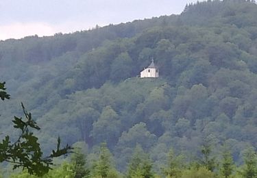 Trail Walking Rendeux - Boucle Marcourt, Beffe - Photo