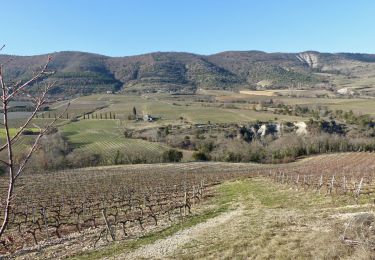 Tour Wandern Valvignères - Valvignères Le Moulinas 15km - Photo