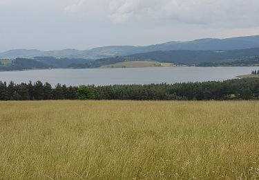 Tour Rennrad Langogne - NAUSSAC - COL CROIX DE BOR ET COL DES 3 SOEURS - Photo