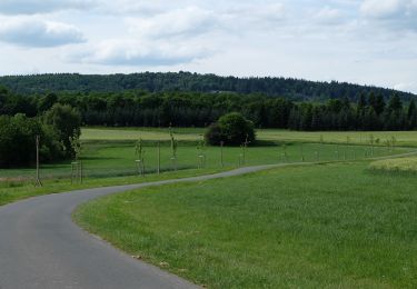 Trail On foot Herborn - Saar-Hunsrück-Steig Zuwegung Herrstein über Oberwörresbach - Photo