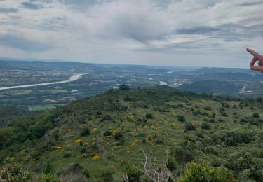 Tour Wandern Ancône - rochemeaure pic de chenavarie  - Photo