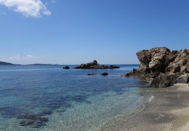 Excursión Senderismo Hyères - La presqu'ile de Giens côté Est, et la réserve biologique - Photo