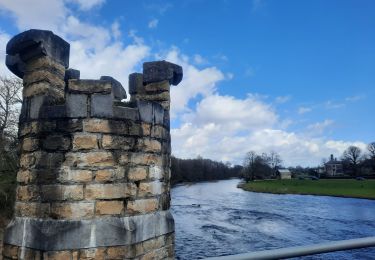 Tour Wandern Florenville - marche adeps Chassepierre  - Photo