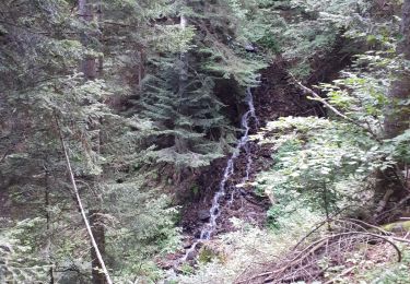 Tocht Stappen Sahorre - Col de Jou Mariailles Py - Photo