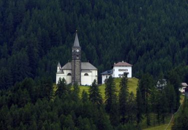 Tour Zu Fuß Livinallongo del Col di Lana - IT-21 - Photo